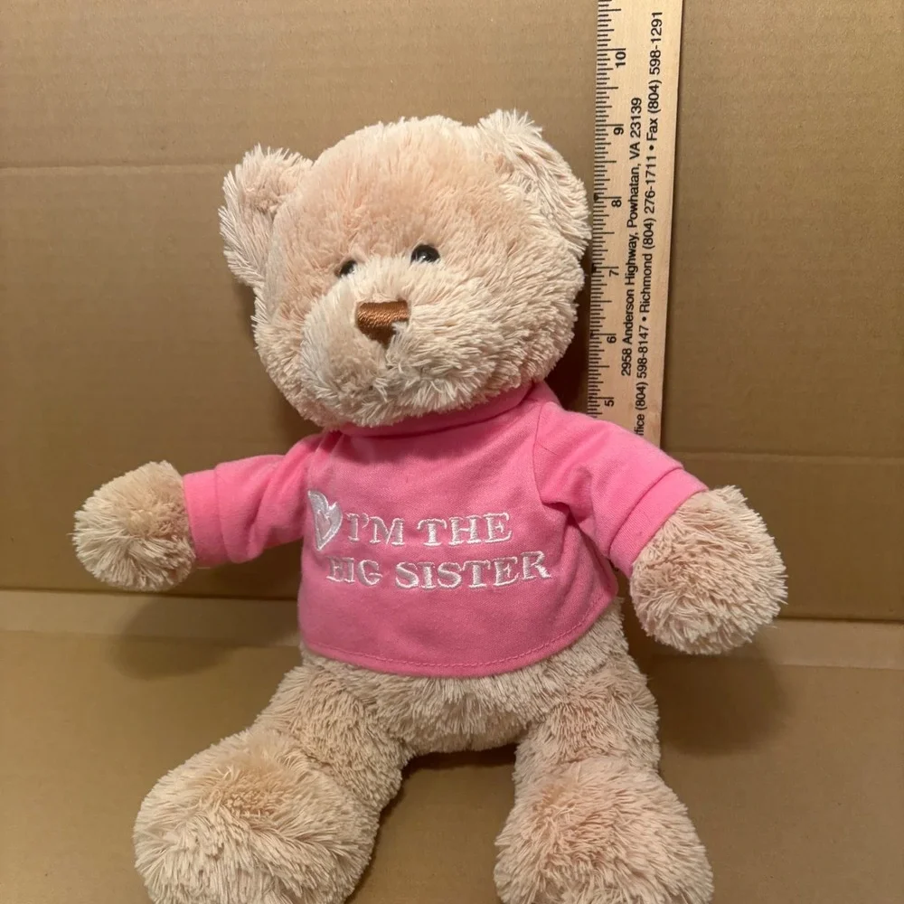 Gund I'm The Big Sister Teddy Bear Plush Stuffed Animal‎ Toy Gift Pink Shirt